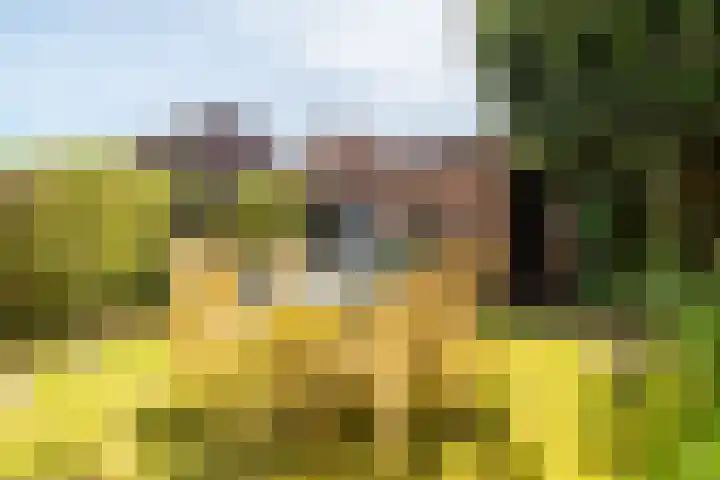 Lange Bedde 42 Breda thumbnail 13