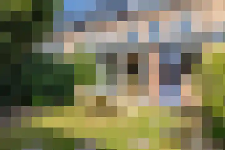 Lange Bedde 42 Breda thumbnail 14