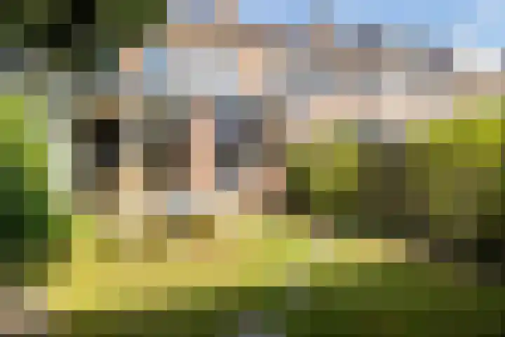 Lange Bedde 42 Breda thumbnail 15