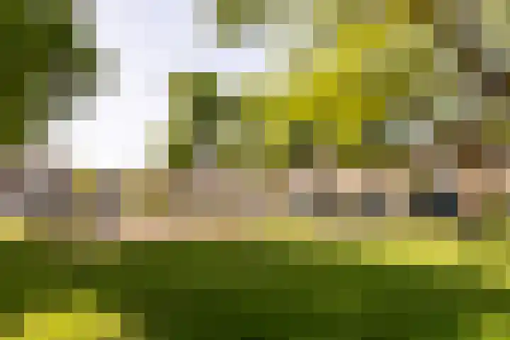 Lange Bedde 42 Breda thumbnail 17