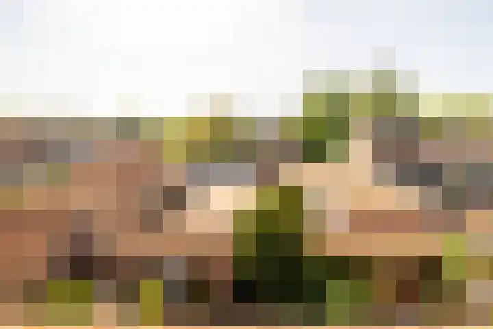 Lange Bedde 42 Breda thumbnail 28
