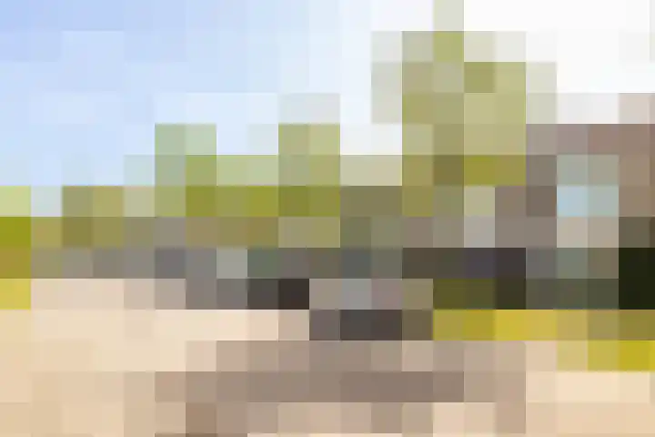 Lange Bedde 42 Breda foto 3