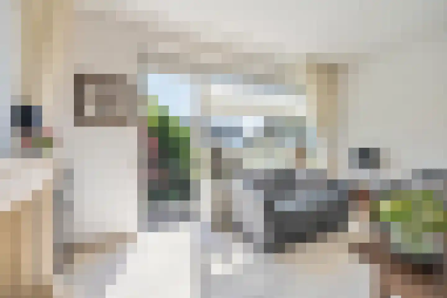 Lange Bedde 60 Breda thumbnail 28
