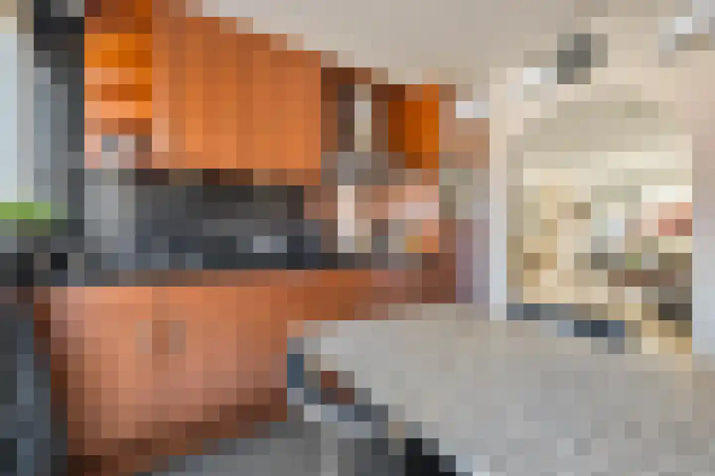 Lange Bedde 60 Breda foto 3