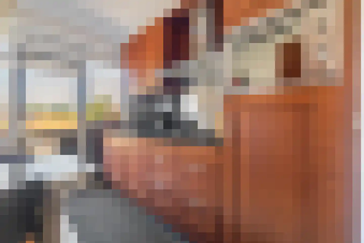 Lange Bedde 60 Breda thumbnail 33