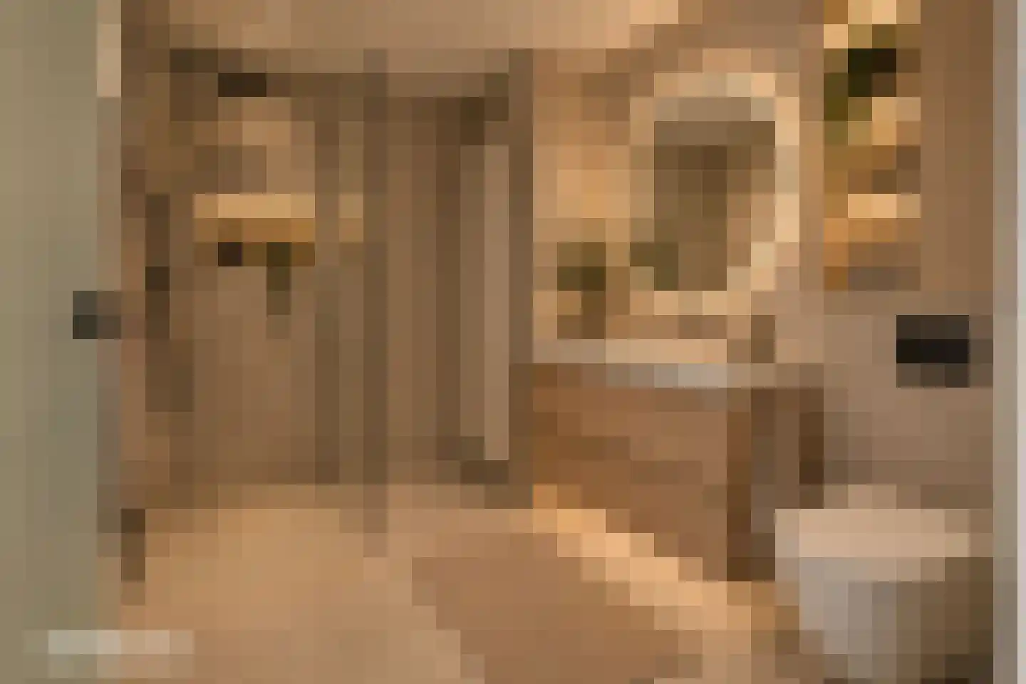 Lange Bedde 60 Breda thumbnail 55