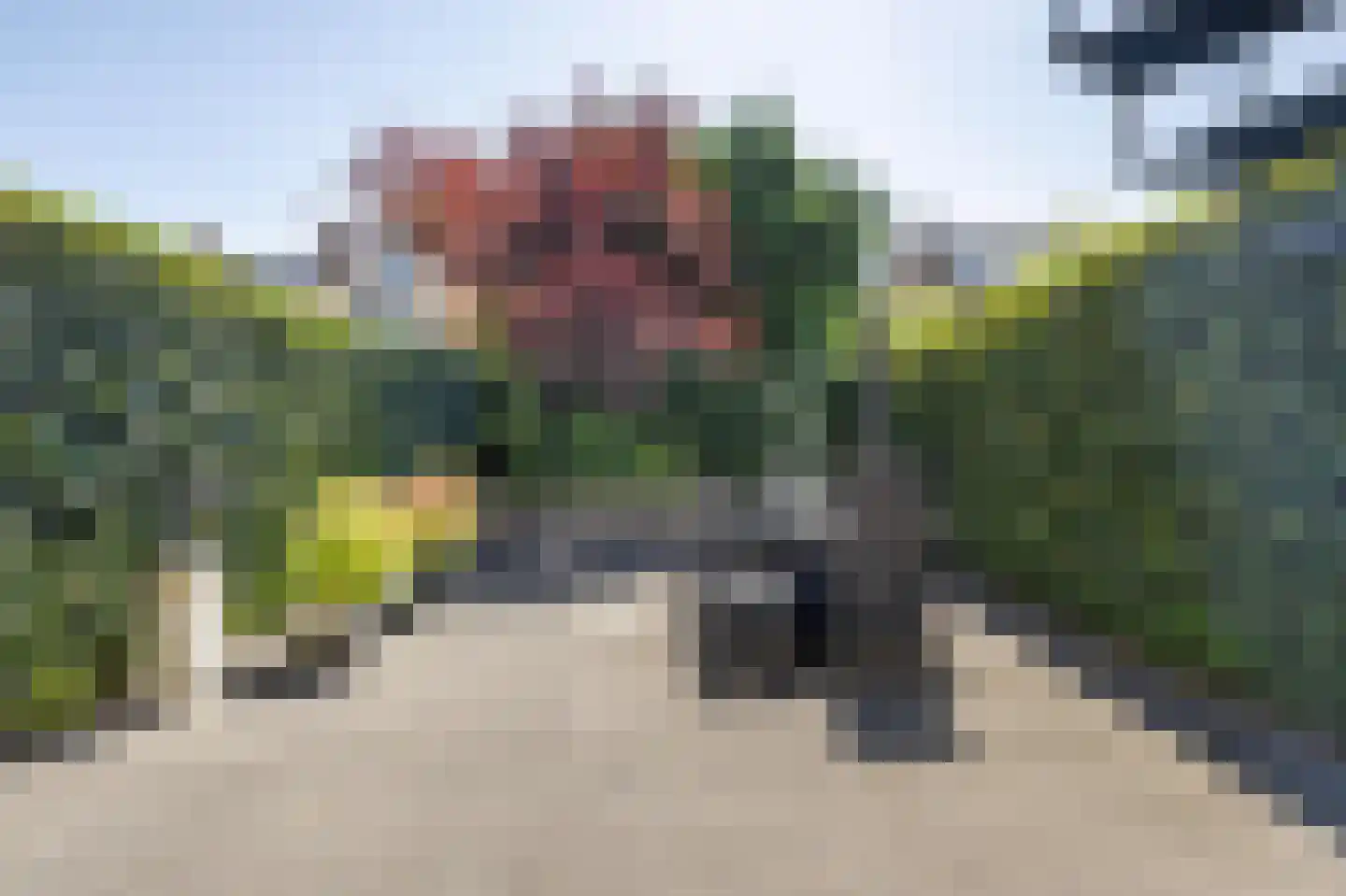 Lange Bedde 60 Breda thumbnail 58