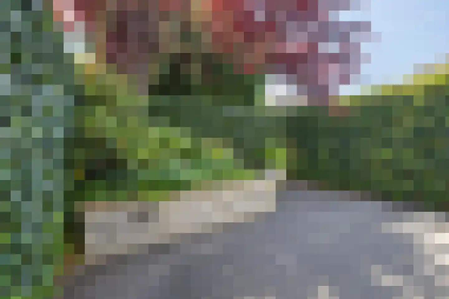 Lange Bedde 60 Breda thumbnail 60