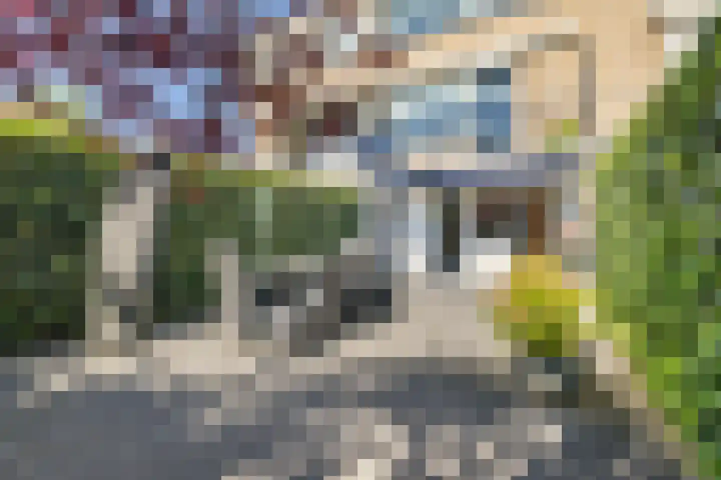 Lange Bedde 60 Breda thumbnail 61