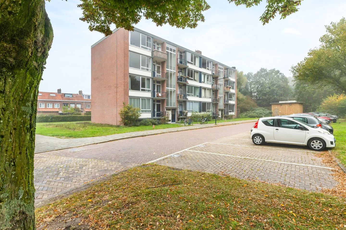 Lange Bedde 83 C Breda thumbnail 30