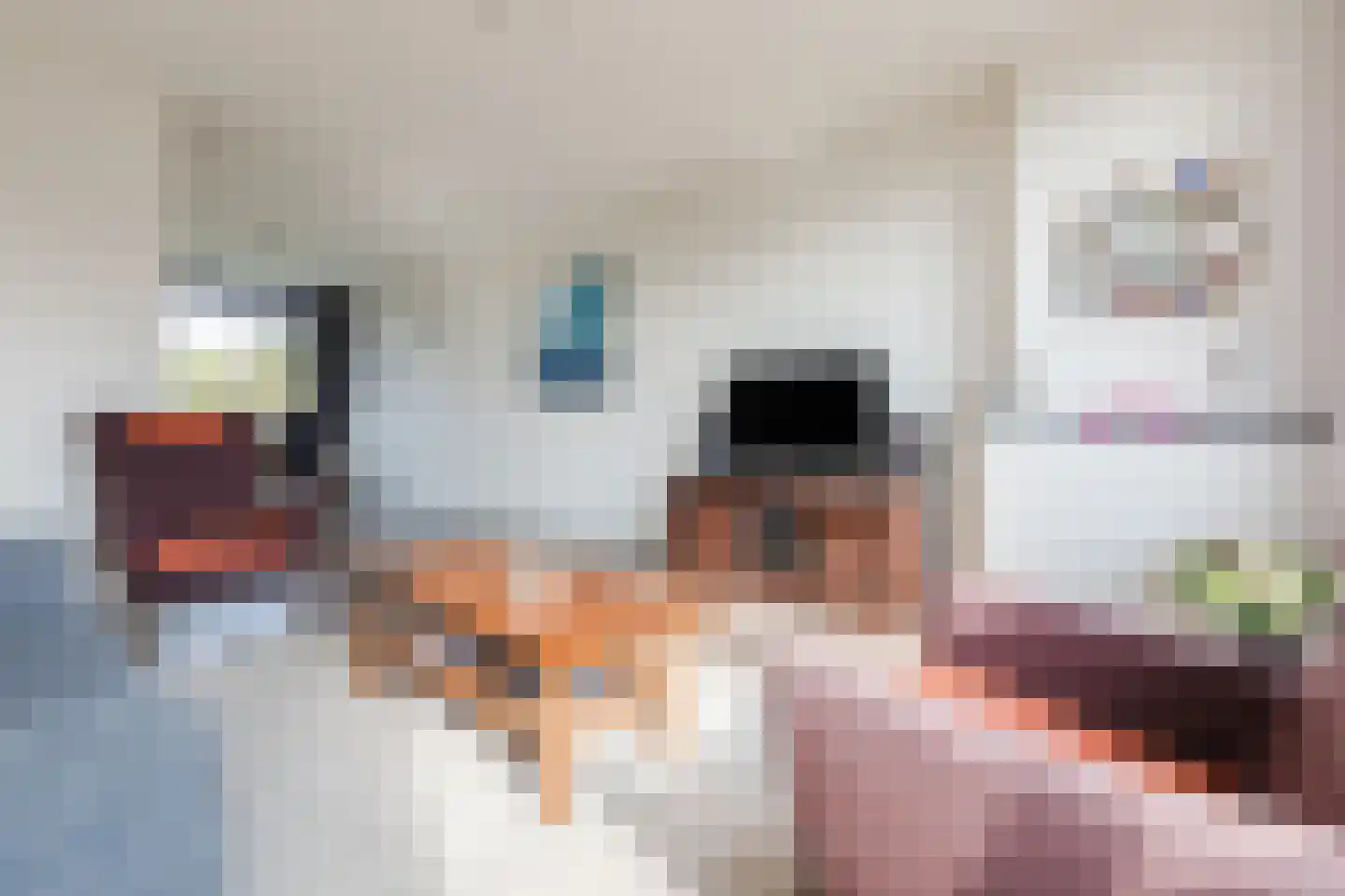 Lange Bedde 87 C Breda thumbnail 16