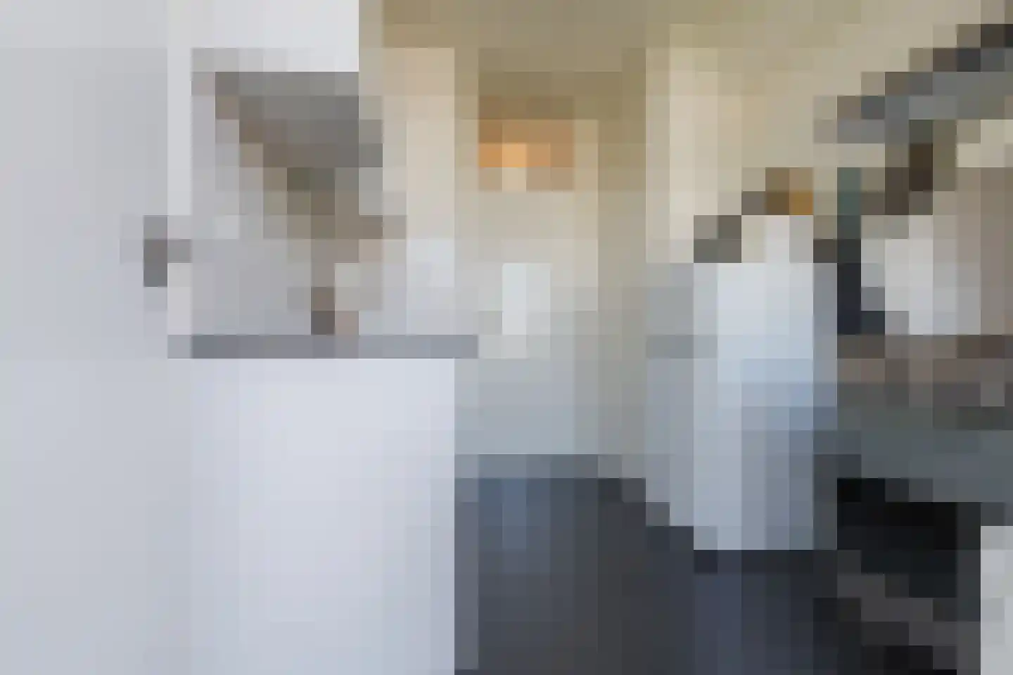 Lange Bedde 87 C Breda thumbnail 20