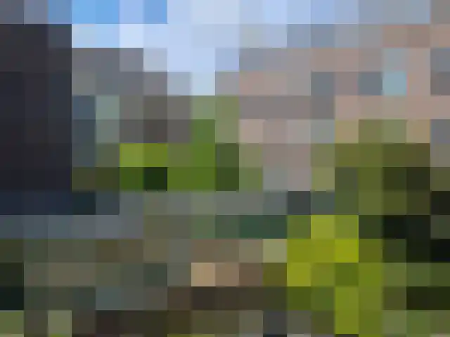 Lange Begijnestraat 18 Haarlem thumbnail 6
