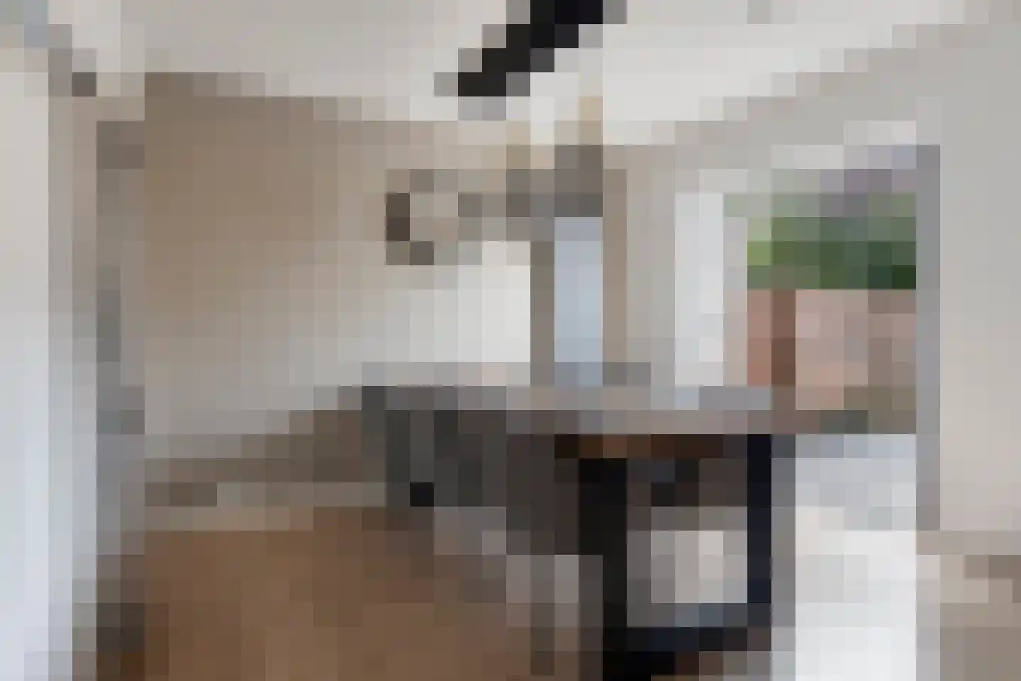 Lange Bellingstraat 28 Hulst thumbnail 11