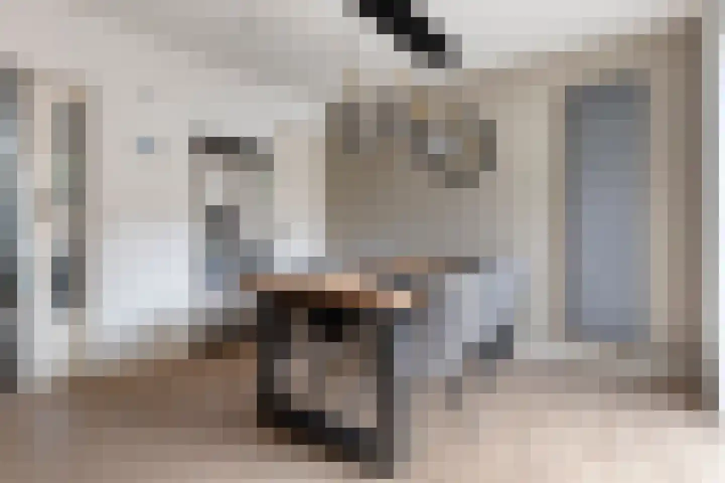 Lange Bellingstraat 28 Hulst thumbnail 12