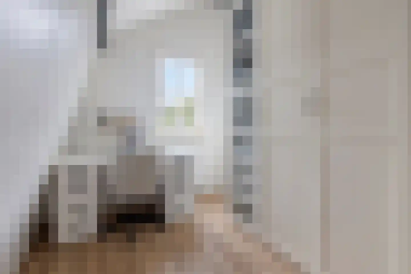 Lange Bellingstraat 28 Hulst thumbnail 26