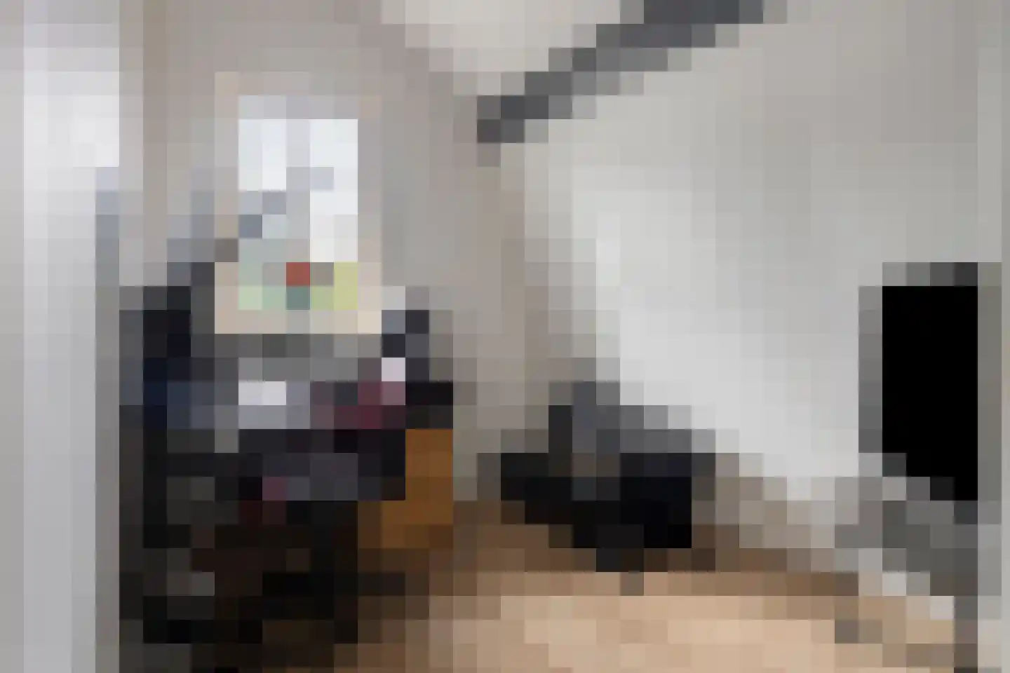 Lange Bellingstraat 28 Hulst thumbnail 27
