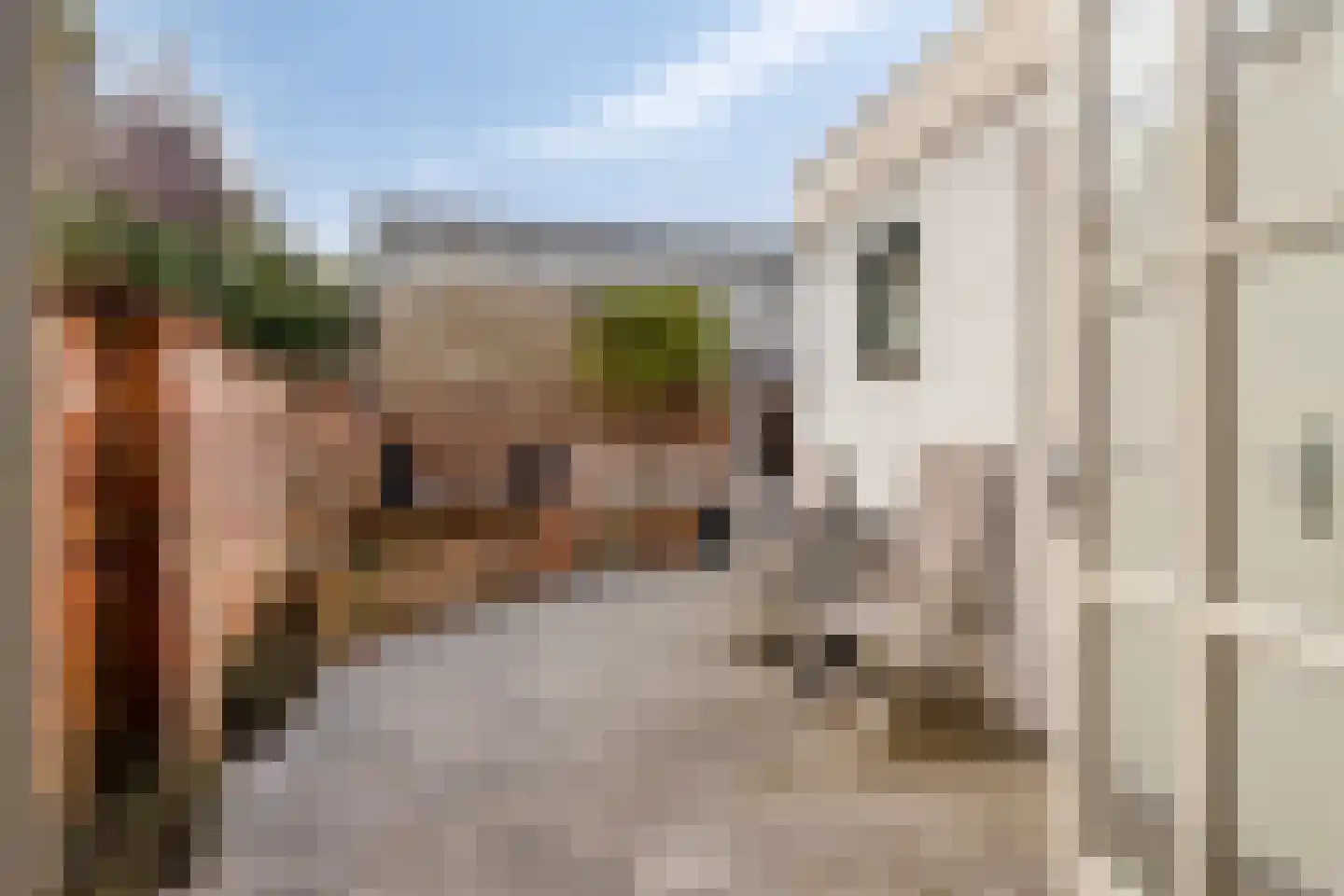 Lange Bellingstraat 28 Hulst thumbnail 28