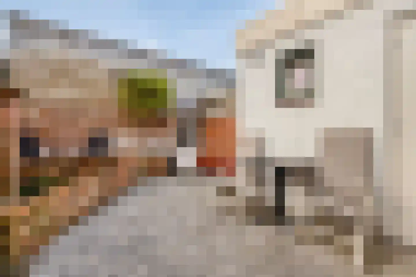 Lange Bellingstraat 28 Hulst thumbnail 29