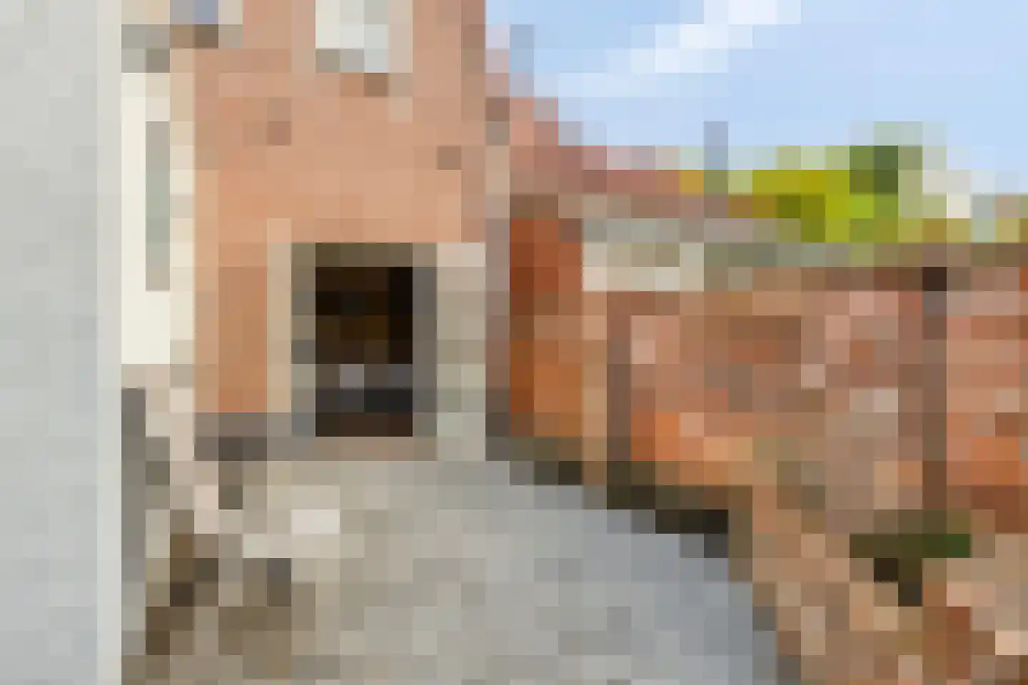 Lange Bellingstraat 28 Hulst thumbnail 30