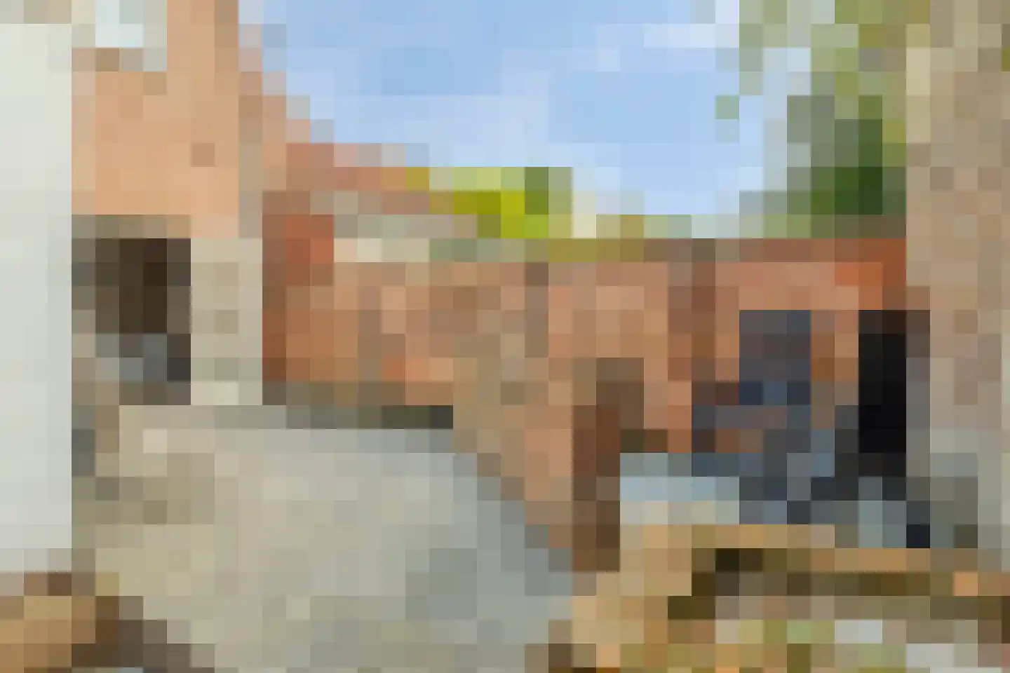 Lange Bellingstraat 28 Hulst thumbnail 31