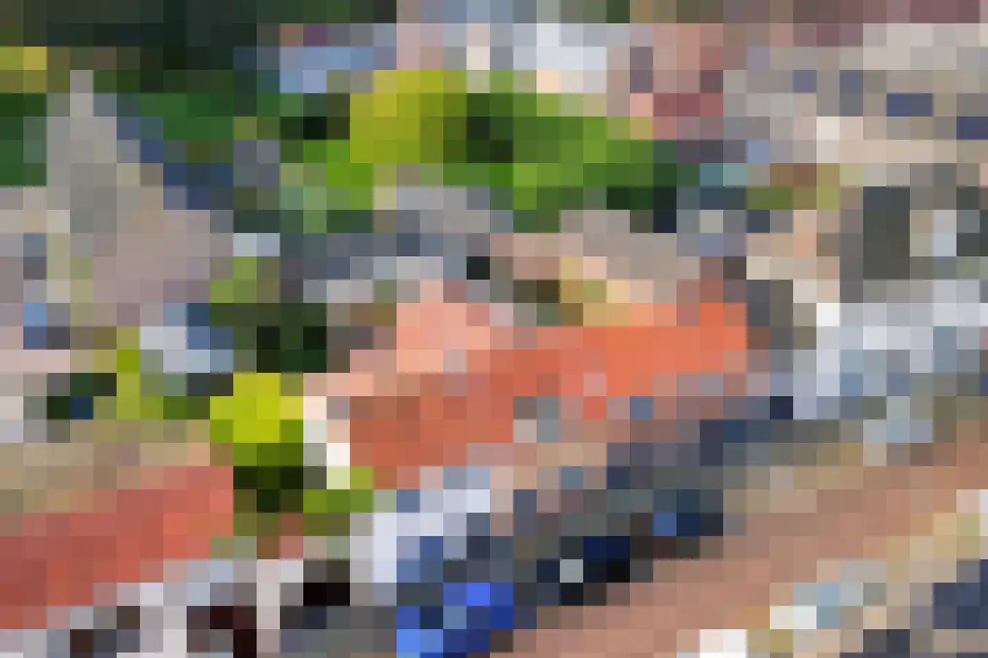 Lange Bellingstraat 28 Hulst thumbnail 34