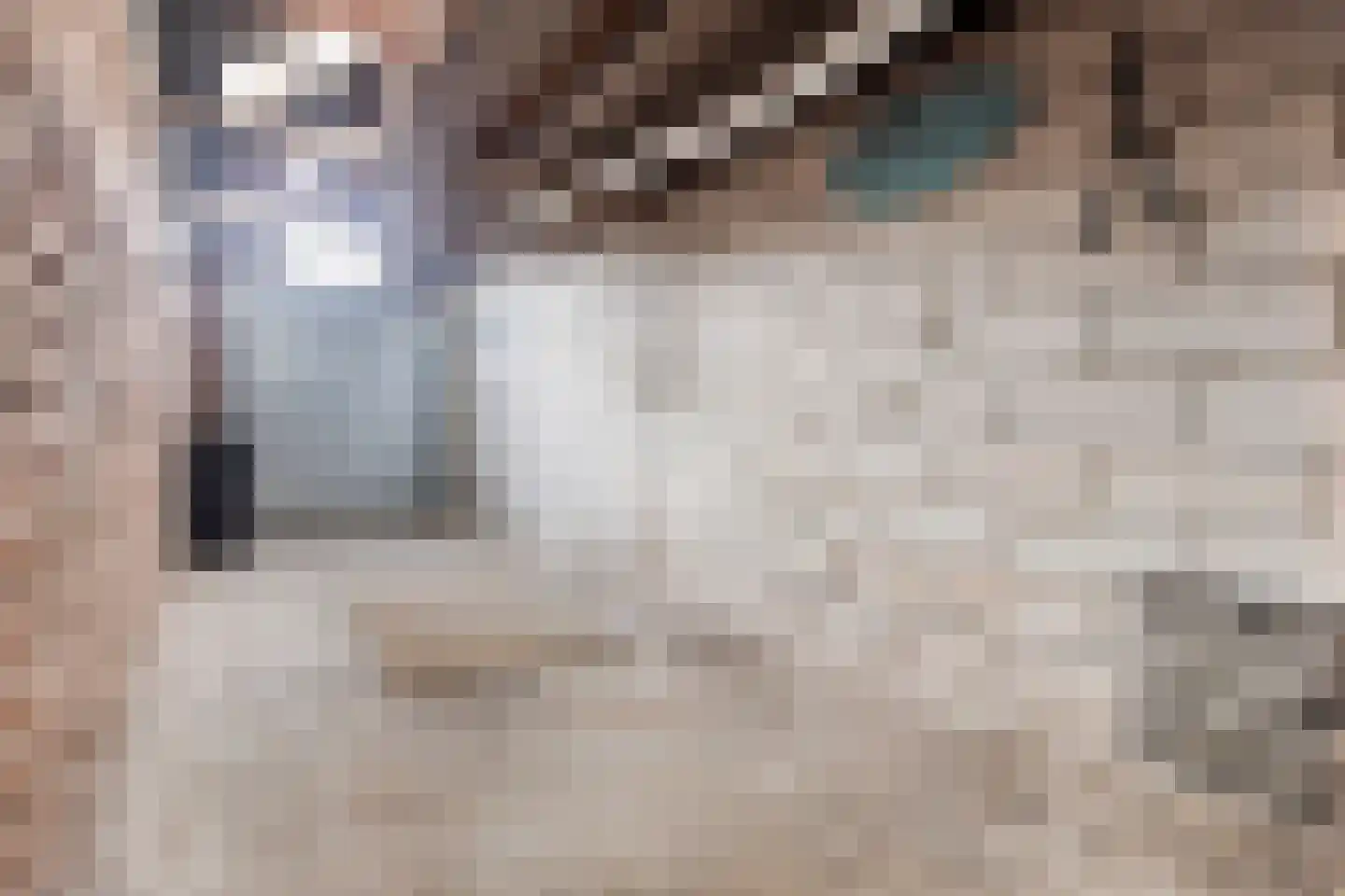 Lange Bellingstraat 28 Hulst thumbnail 38