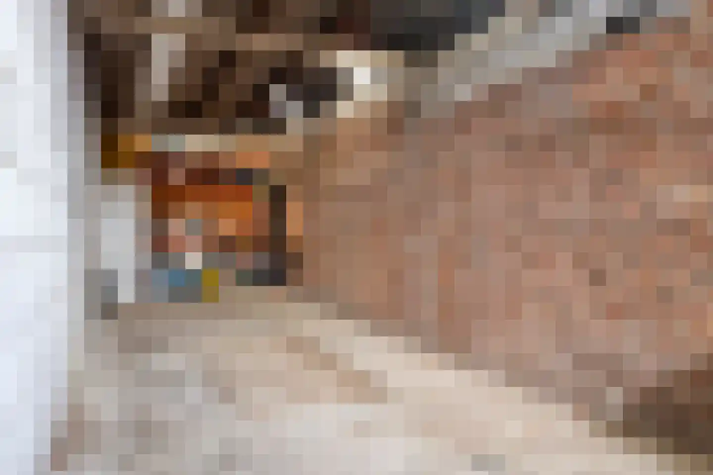 Lange Bellingstraat 28 Hulst thumbnail 39