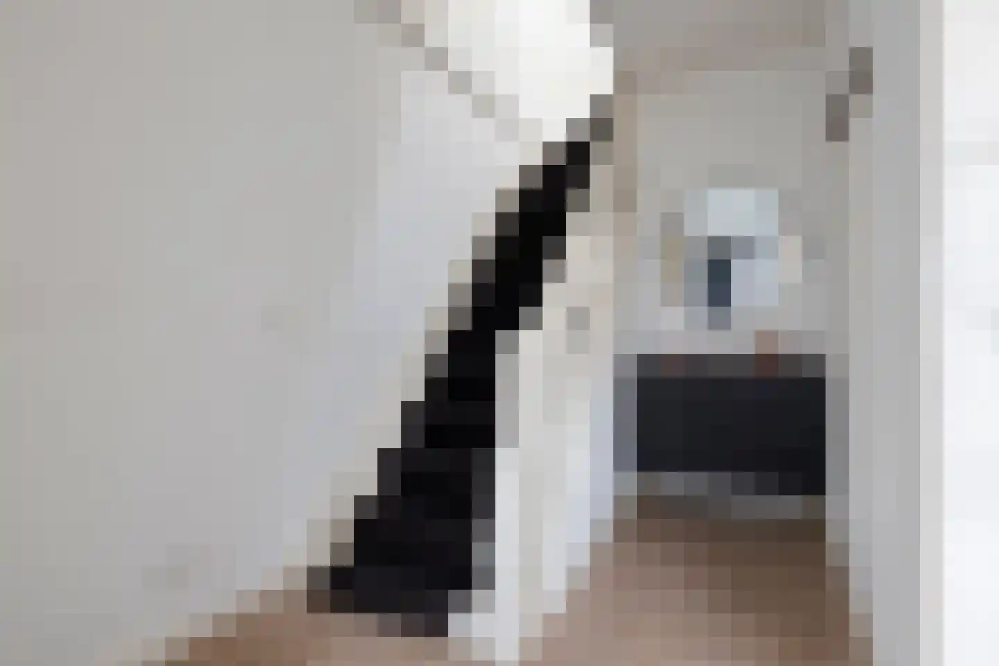 Lange Bellingstraat 28 Hulst thumbnail 4