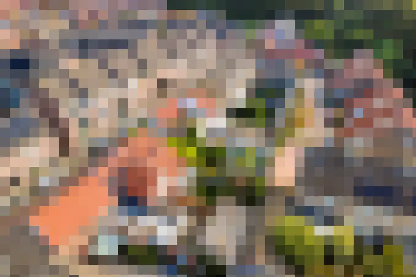 Lange Bellingstraat 28 Hulst thumbnail 44