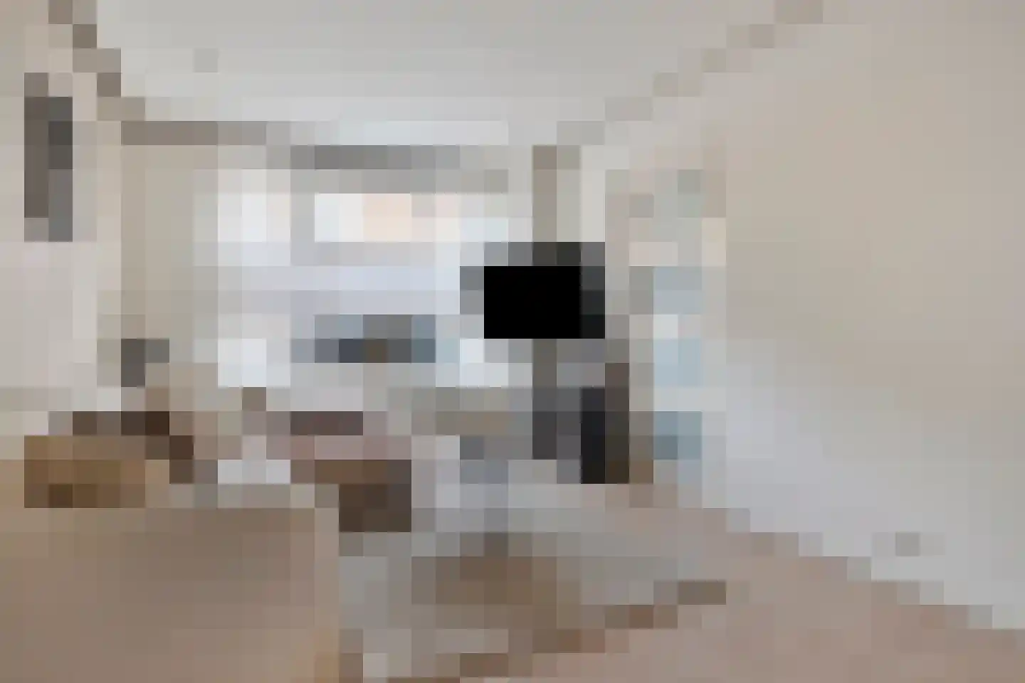 Lange Bellingstraat 28 Hulst thumbnail 6