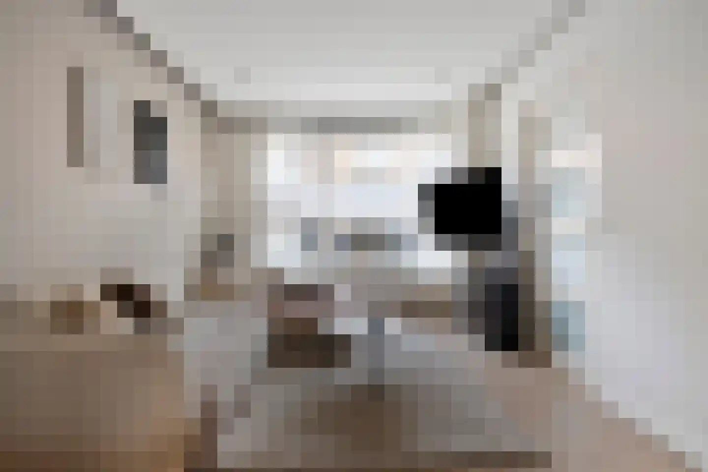 Lange Bellingstraat 28 Hulst thumbnail 7