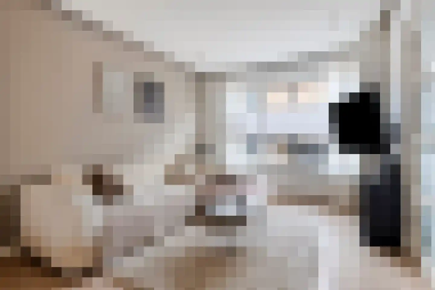 Lange Bellingstraat 28 Hulst thumbnail 8