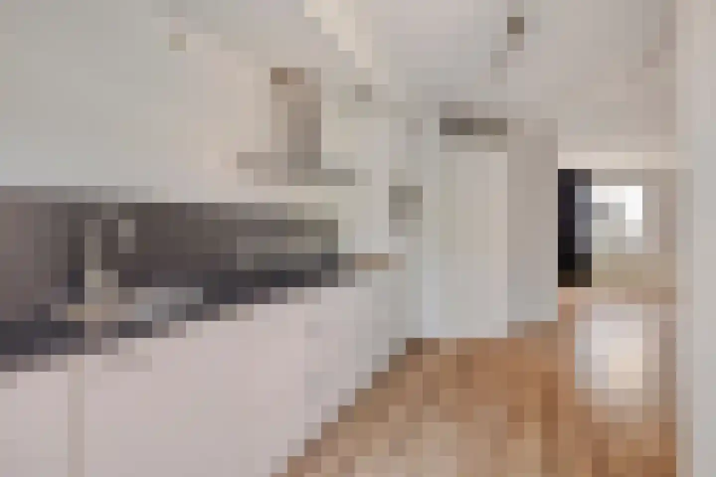 Lange Bellingstraat 3 Hulst thumbnail 10