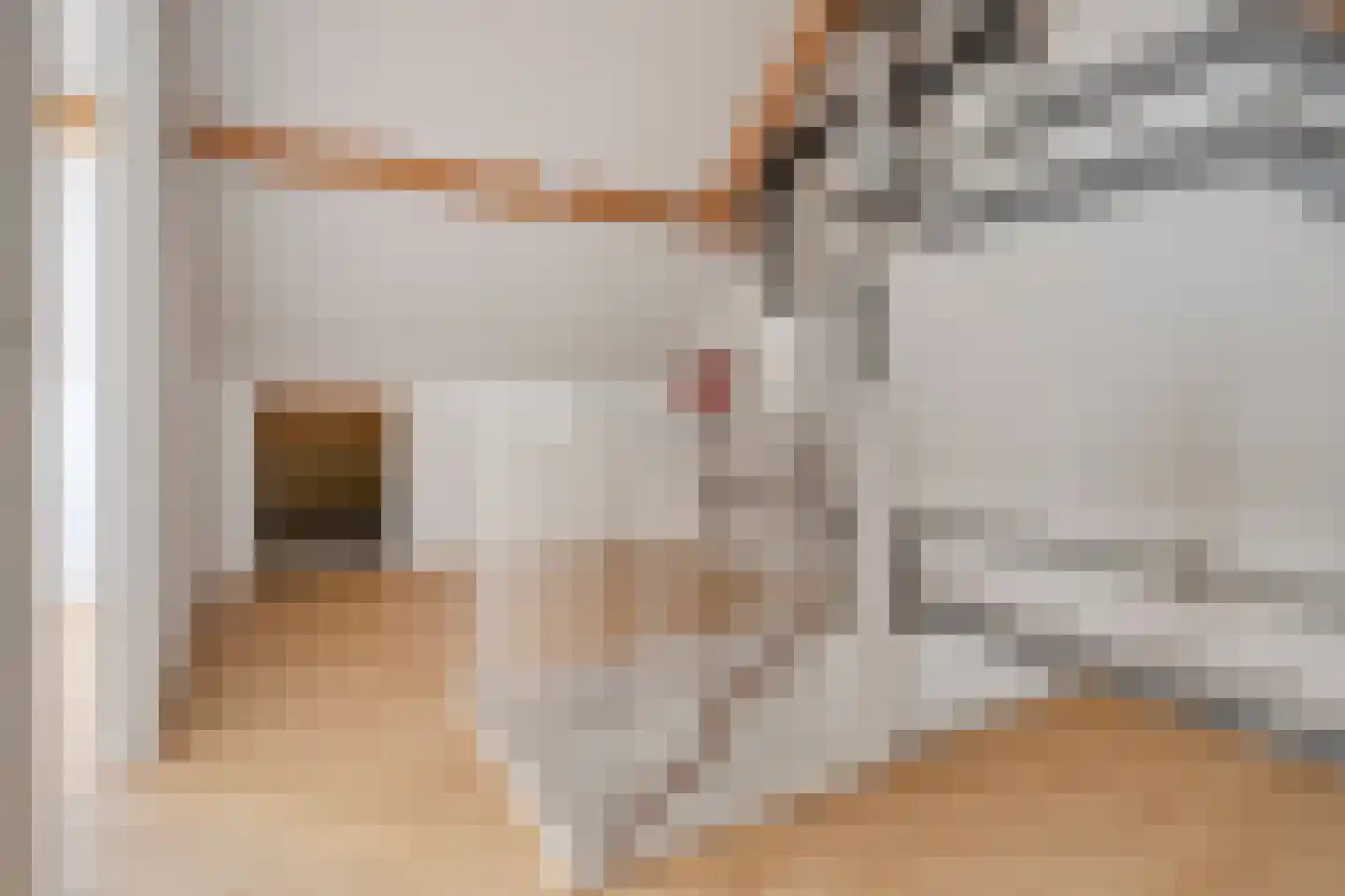 Lange Bellingstraat 3 Hulst thumbnail 17