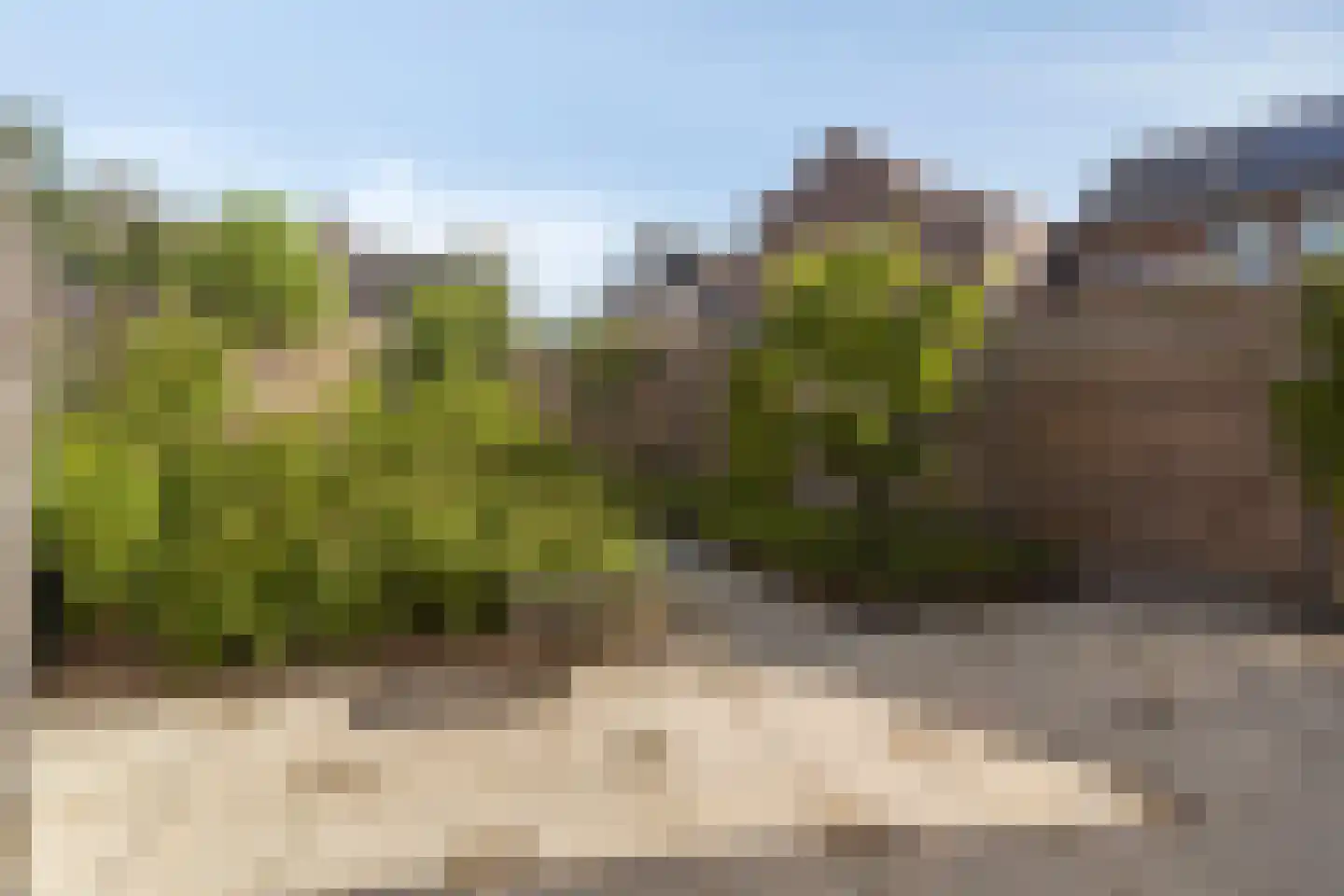 Lange Bellingstraat 3 Hulst thumbnail 20