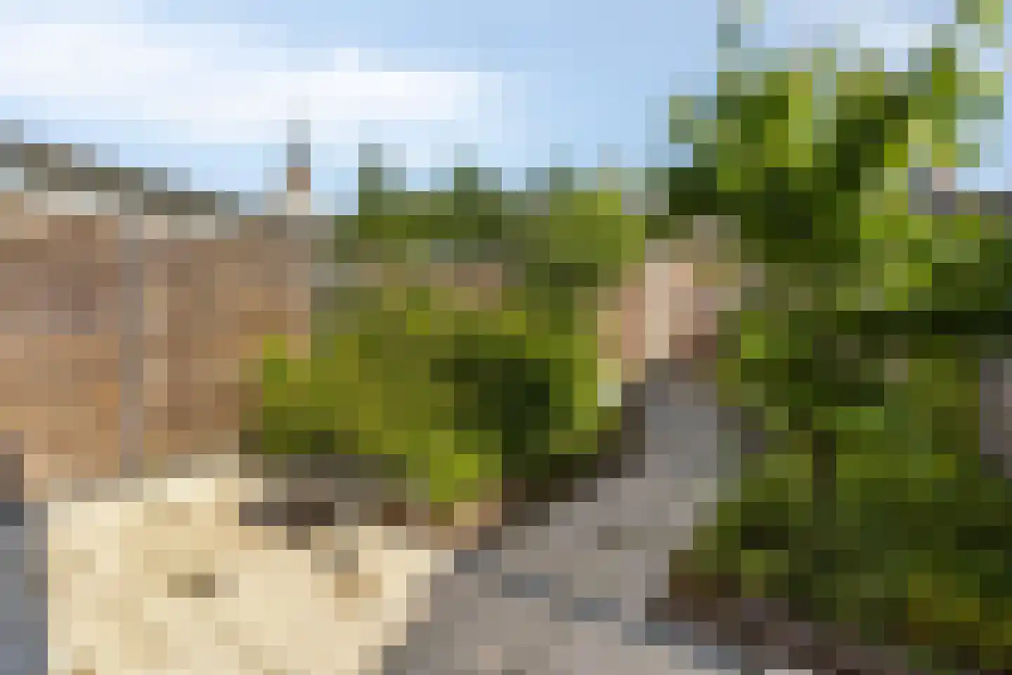 Lange Bellingstraat 3 Hulst thumbnail 21