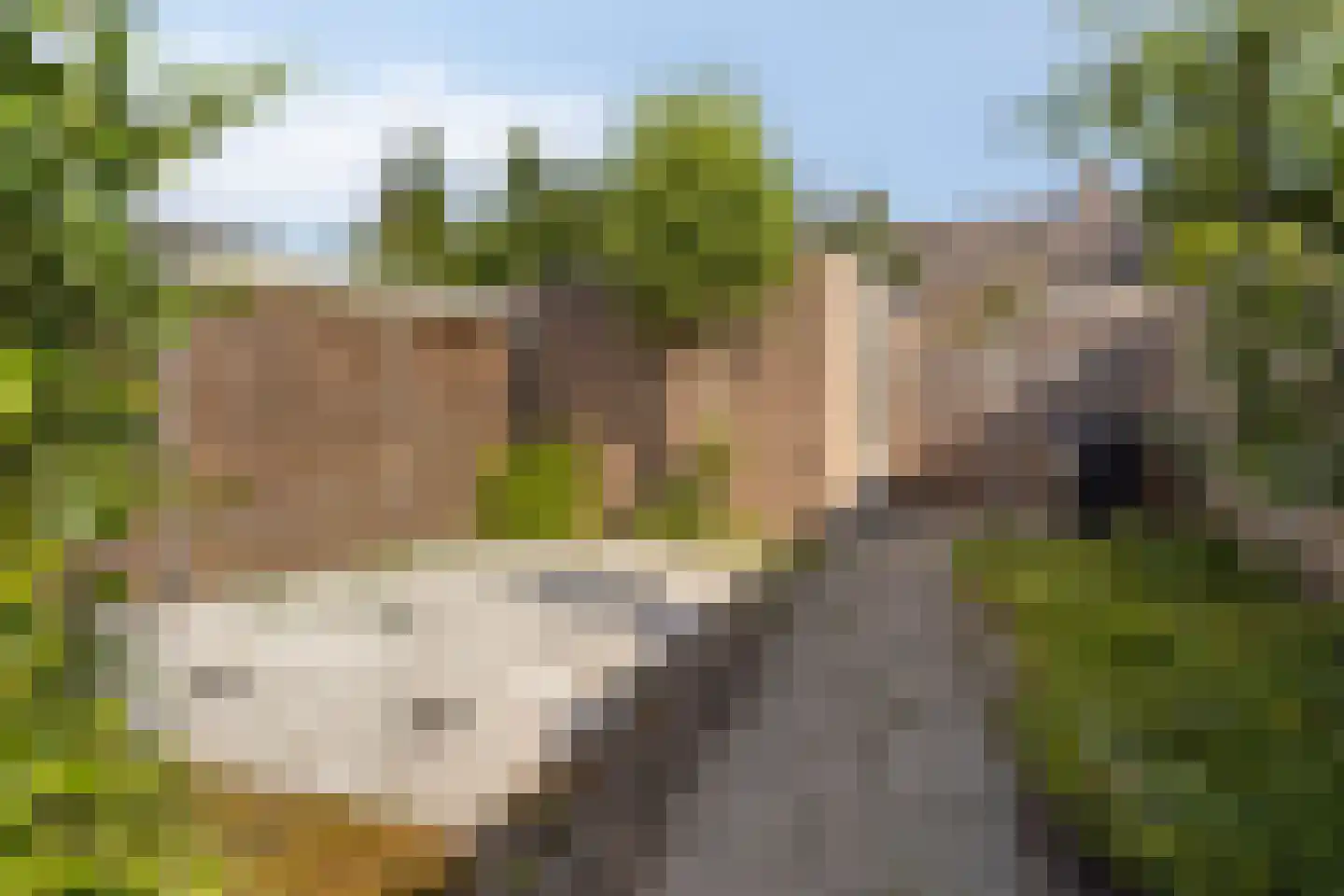 Lange Bellingstraat 3 Hulst thumbnail 22