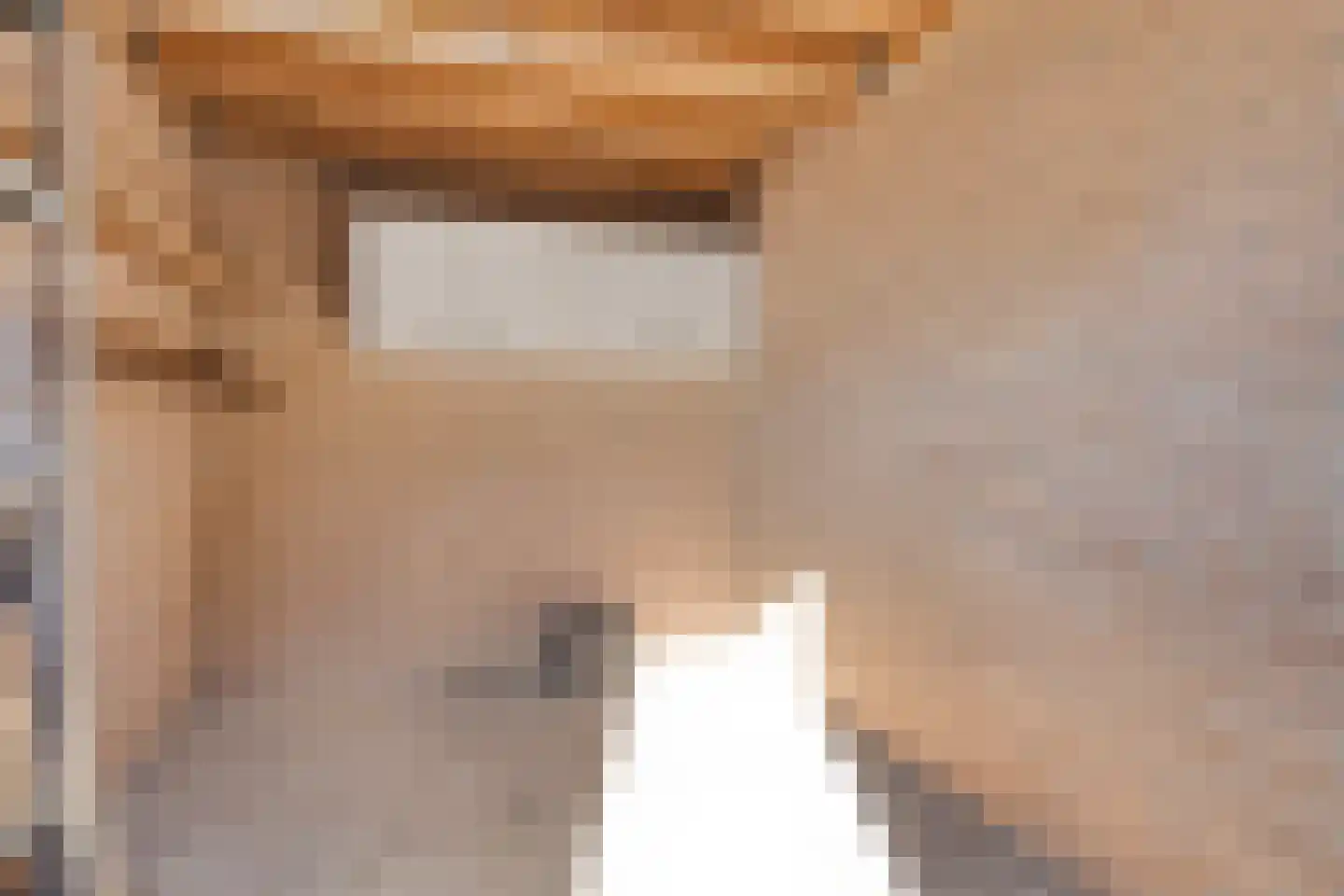 Lange Bellingstraat 3 Hulst thumbnail 24
