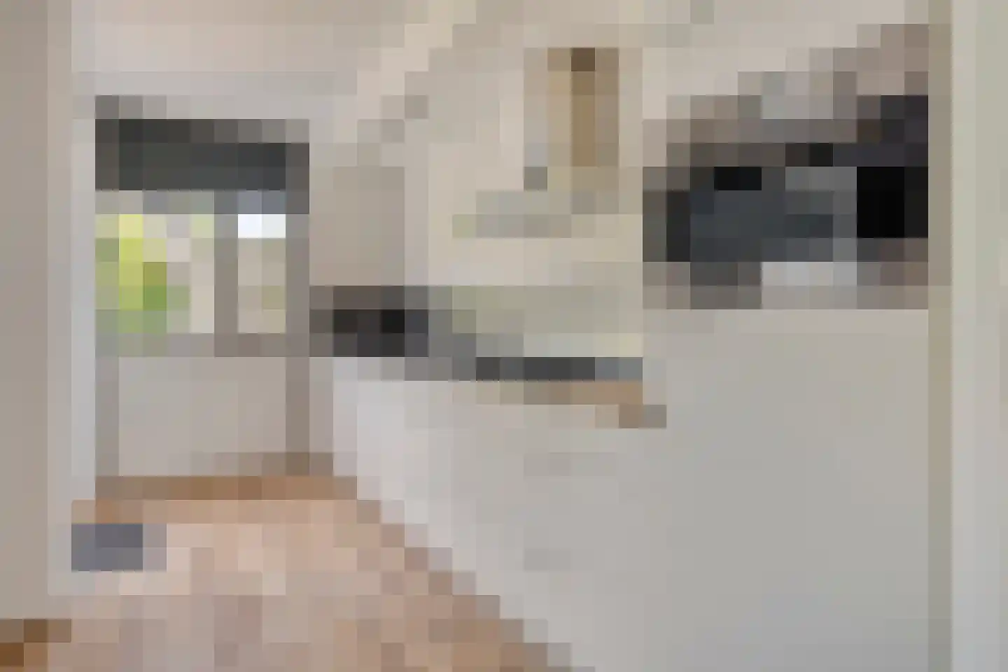 Lange Bellingstraat 3 Hulst thumbnail 9