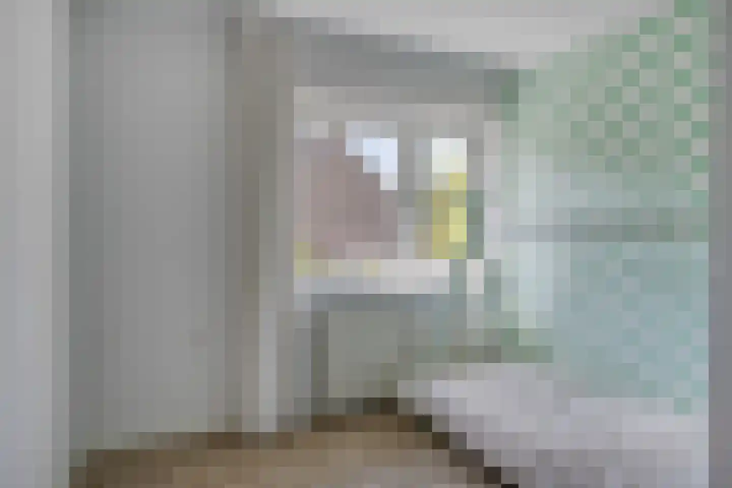 Lange Bellingstraat 34 Hulst thumbnail 21