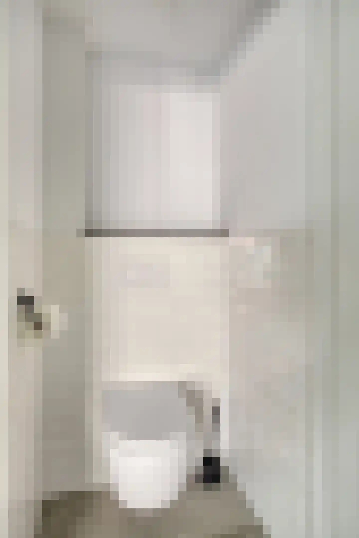 Lange Bellingstraat 34 Hulst thumbnail 26