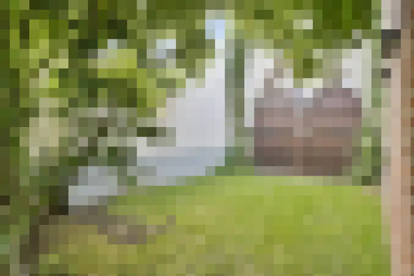 Lange Bellingstraat 34 Hulst thumbnail 27
