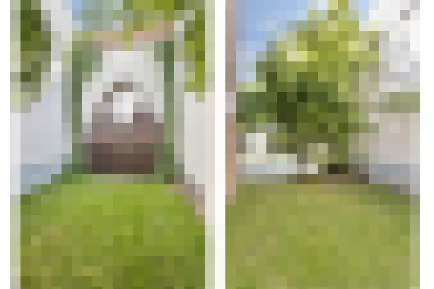 Lange Bellingstraat 34 Hulst thumbnail 30