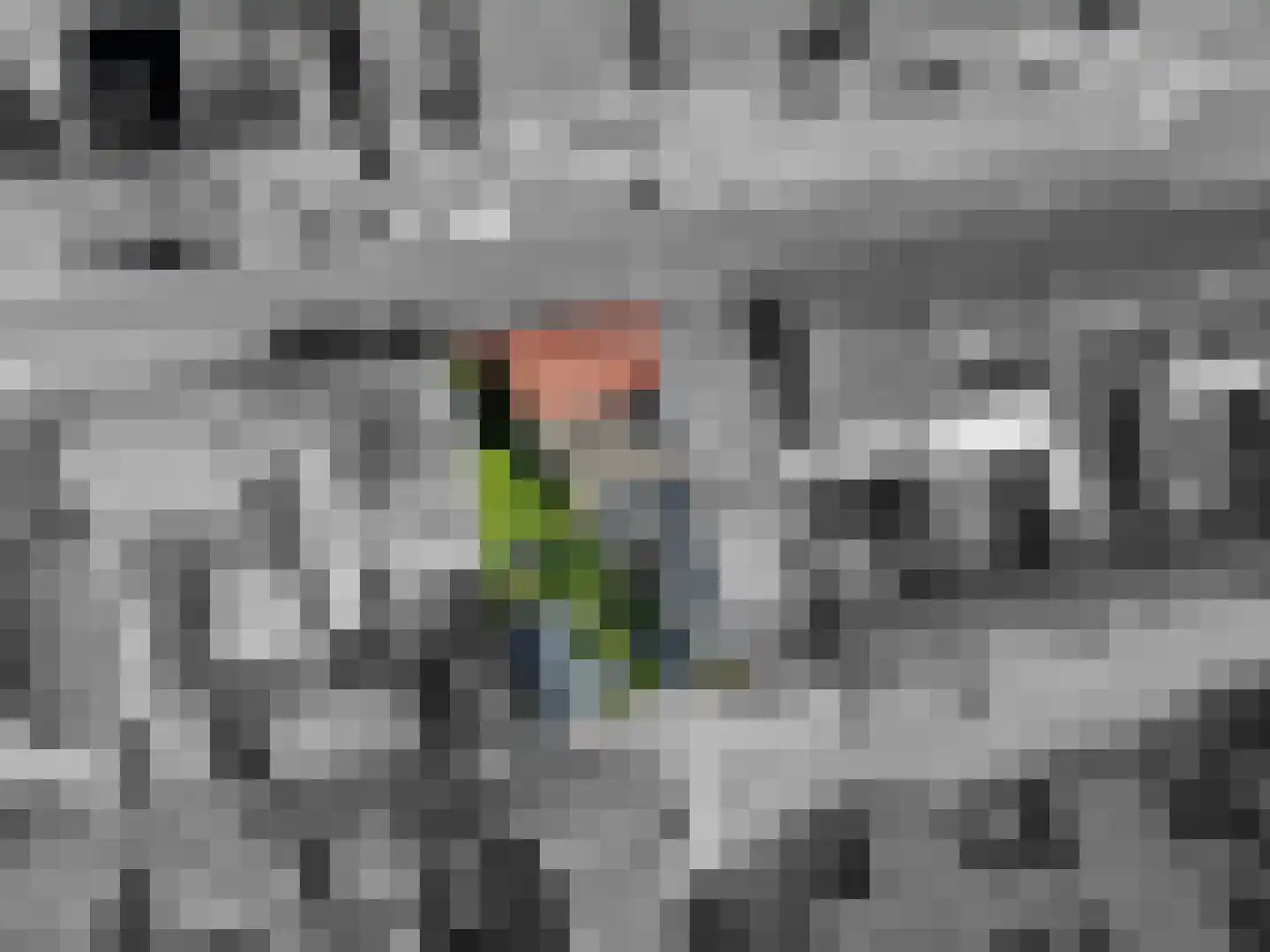 Lange Bellingstraat 34 Hulst thumbnail 33