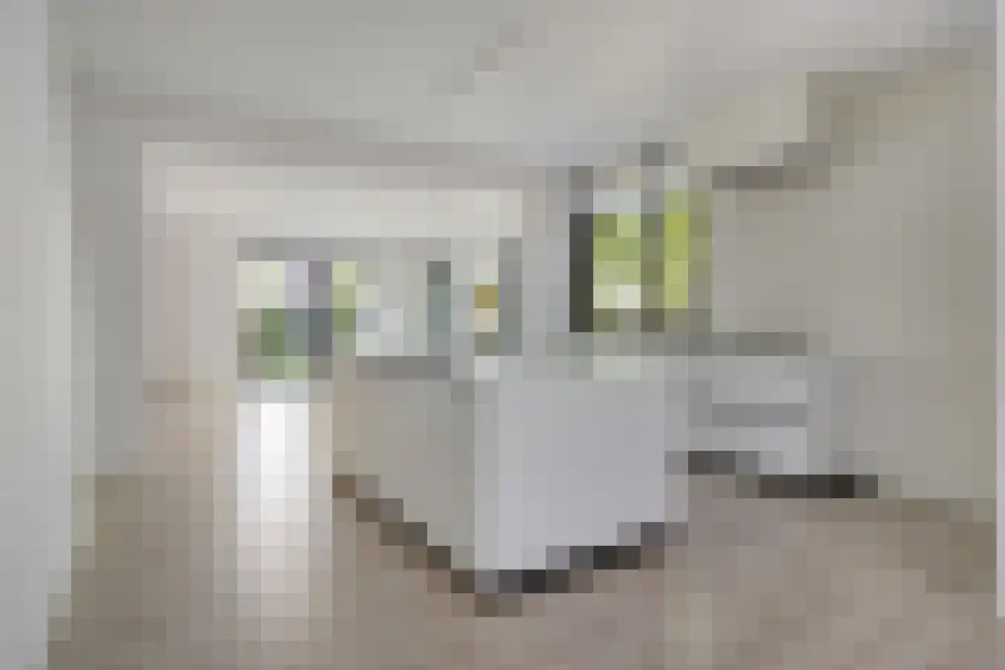 Lange Bellingstraat 34 Hulst thumbnail 7