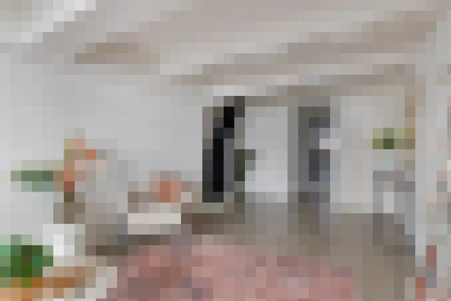 Lange Bisschopstraat 22 Deventer thumbnail 12