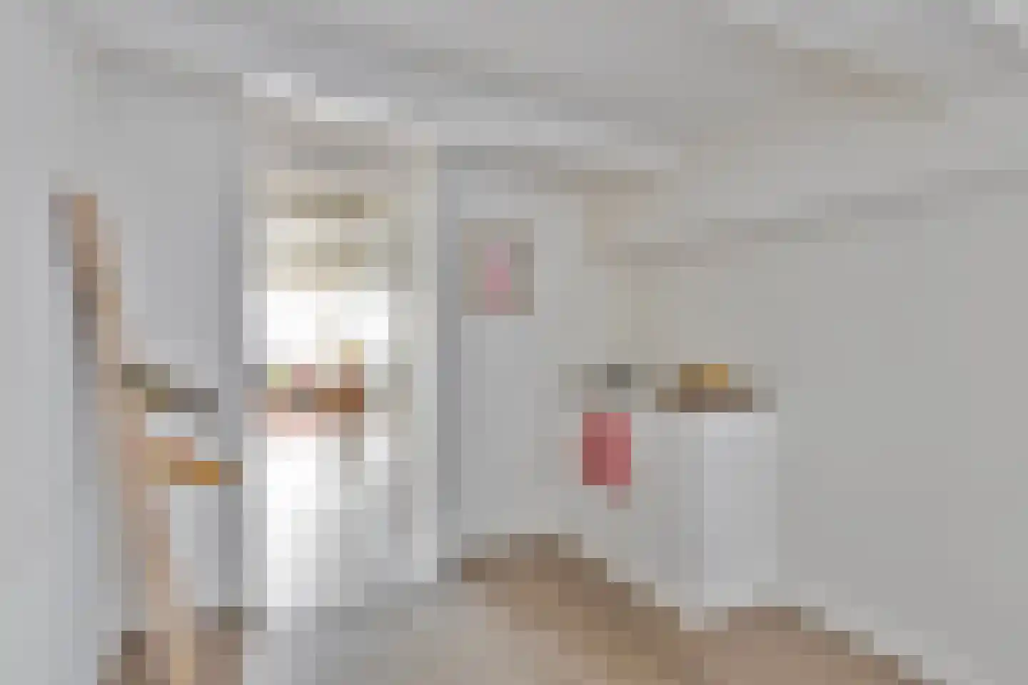 Lange Bisschopstraat 22 Deventer thumbnail 16