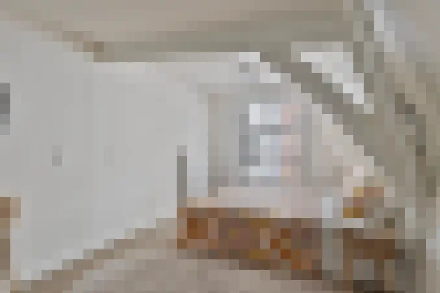 Lange Bisschopstraat 22 Deventer thumbnail 20