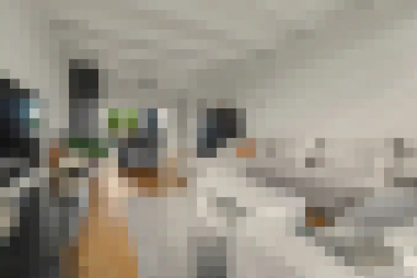 Lange Blokweg 27 Zierikzee thumbnail 12